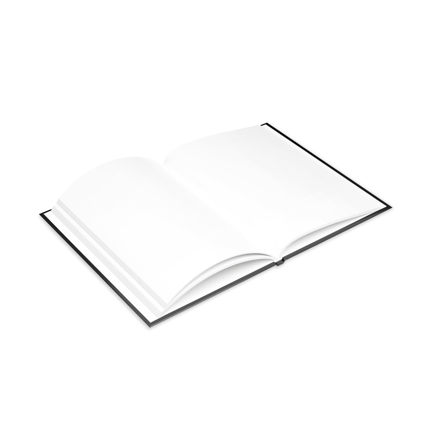 Accountability Over Ego Journal | Articulate Business