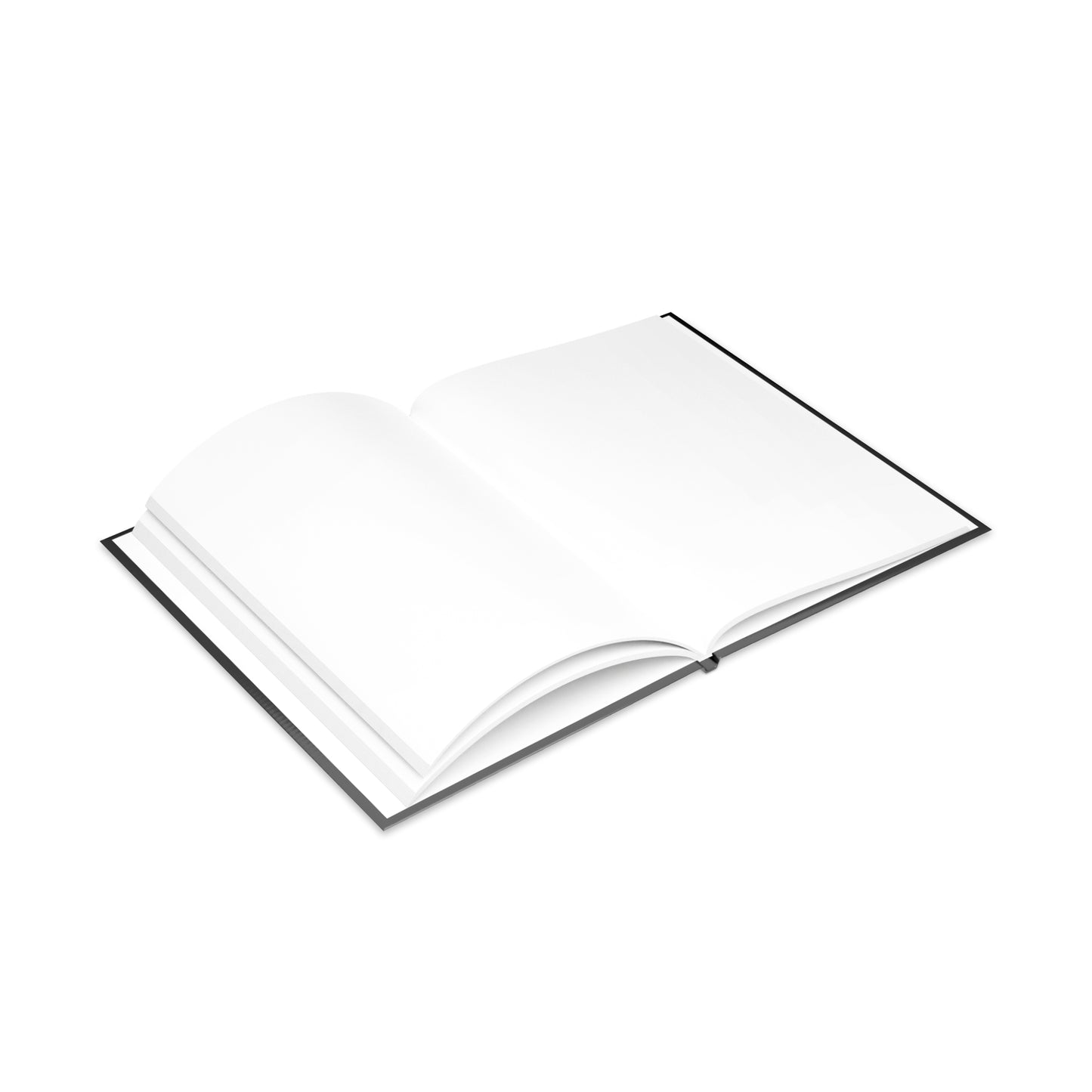 Accountability Over Ego Journal | Articulate Business