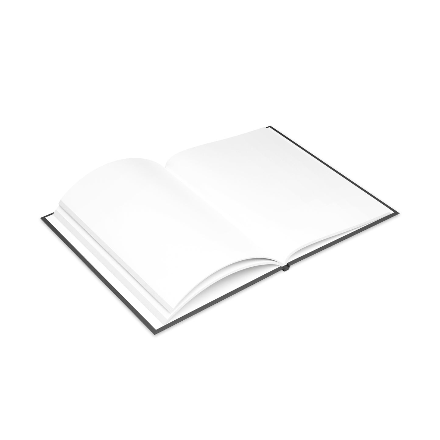 Accountability Over Ego Journal | Articulate Business